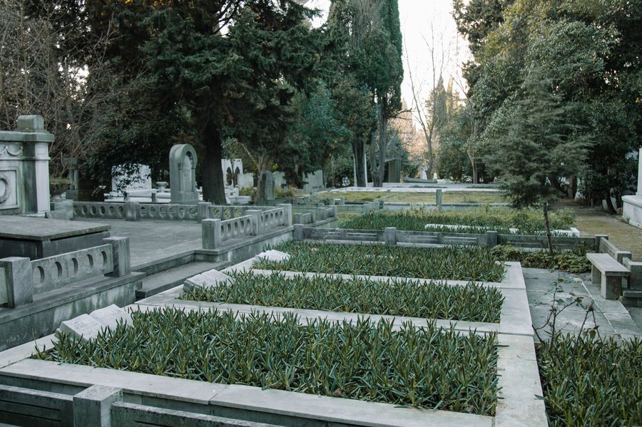 Cementerio con setos y árboles